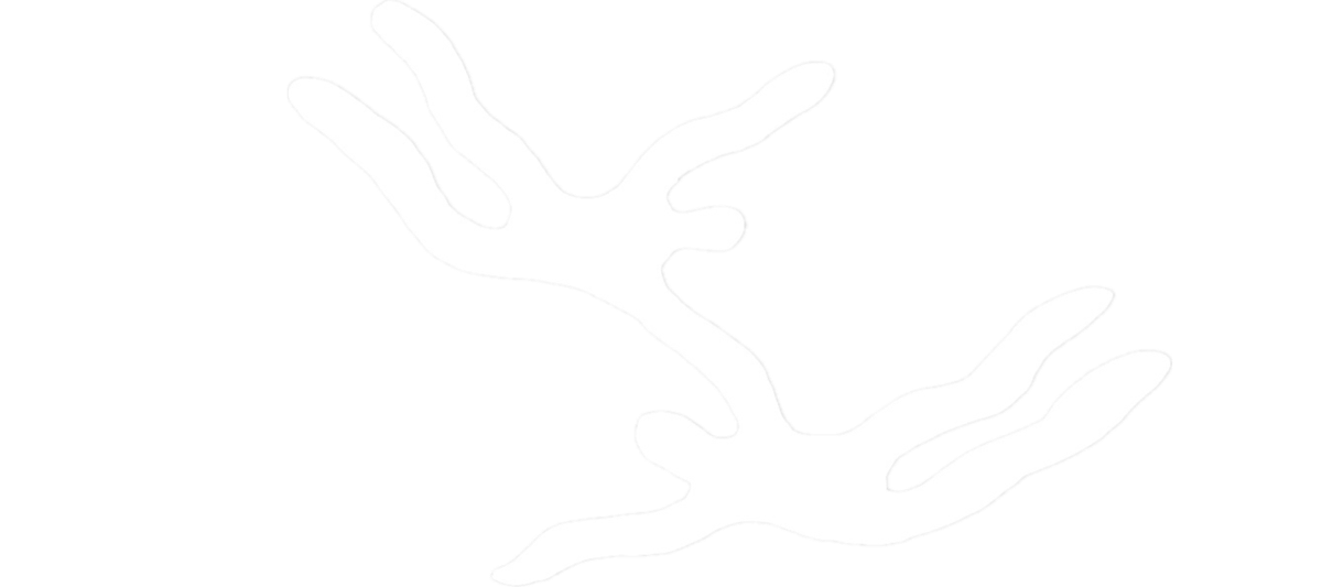 Soulmates Retreats